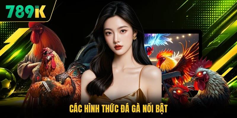 Các hình thức đá gà nổi bật Các hình thức đá gà nổi bật