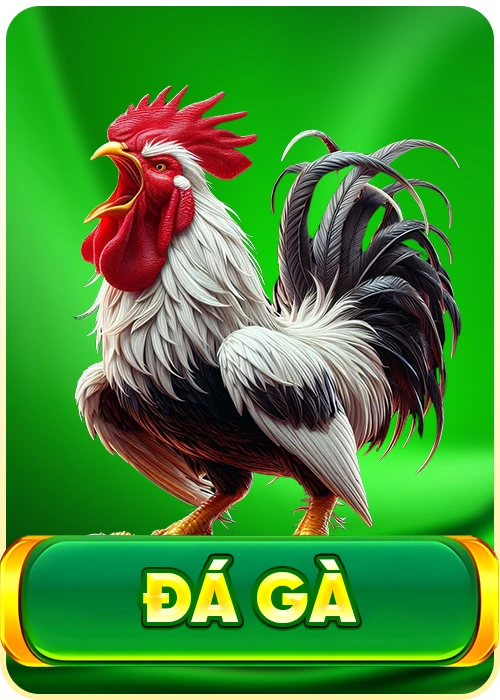 đá gà 789k