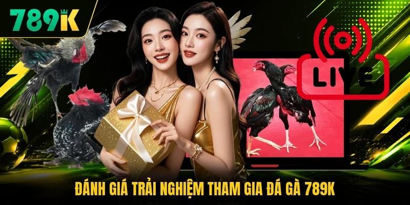 Đánh giá trải nghiệm tham gia đá gà 789K Đánh giá trải nghiệm tham gia đá gà 789K